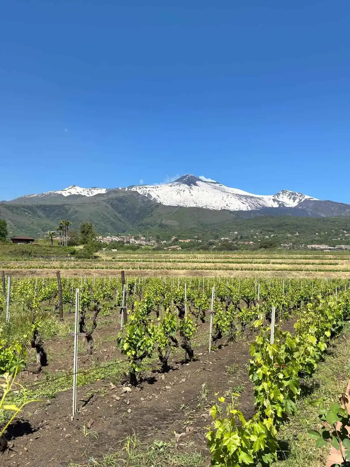 Etna · Esperienza Privata